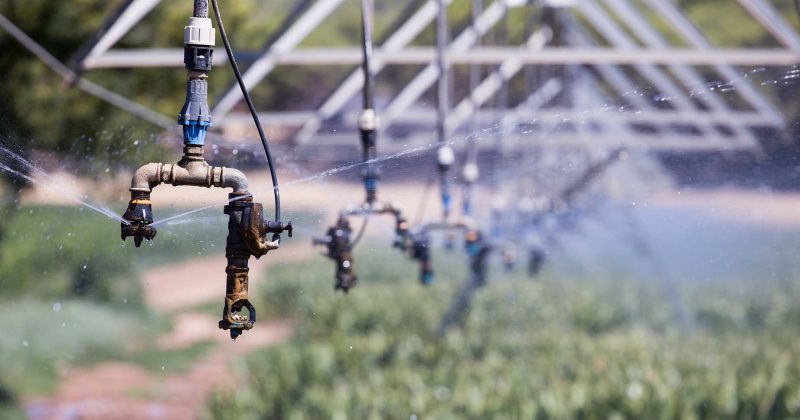 Irrifrance Hose Reel Irrigation System For Sale, High Quality